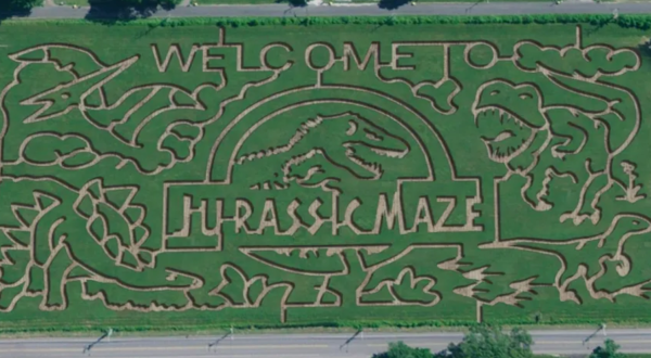 If There’s One Fall Event You Attend In Maryland, Make It The Maryland Corn Maze