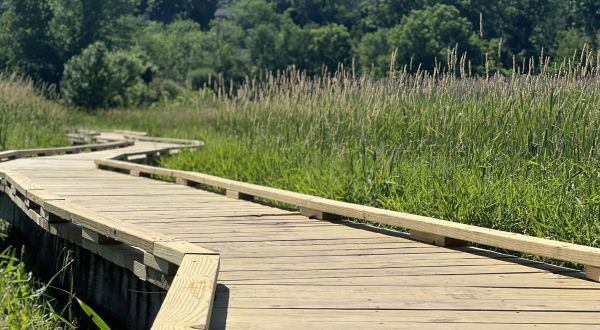 Take A Boardwalk Trail Through Woodlands Near Wawayanda State Park In New Jersey