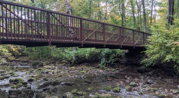 Explore A Lakeside Forest And Cross Babbling Brooks On This Fairytale Trail In Michigan