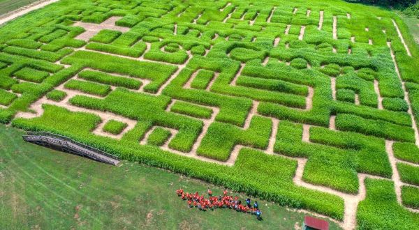 Get Lost In These 6 Awesome Corn Mazes Around Charlotte This Fall