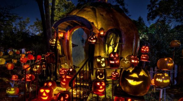 More Than 5,000 Glowing Pumpkins Will Light The Night At Minnesota’s Jack-O-Lantern Spectacular This Year