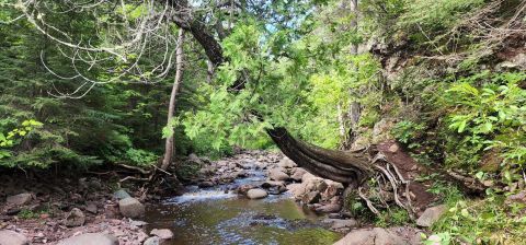 An Easy But Gorgeous Hike, Onion River Trail Leads To A Little-Known River In Minnesota