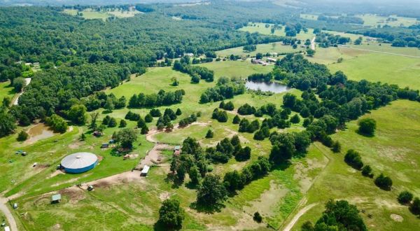 There’s A Horse Ranch In Arkansas That’s Perfect For A Family Day Trip