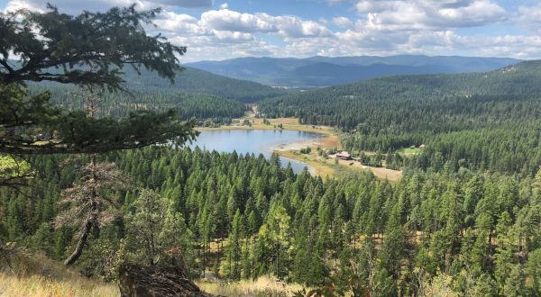 The Easy 2.6-Mile Lion Mountain Trail Will Lead You Through The Montana Woods