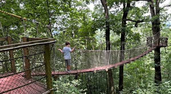 The Red Mountain Park Swinging Rope Bridge In Alabama Will Make Your Stomach Drop