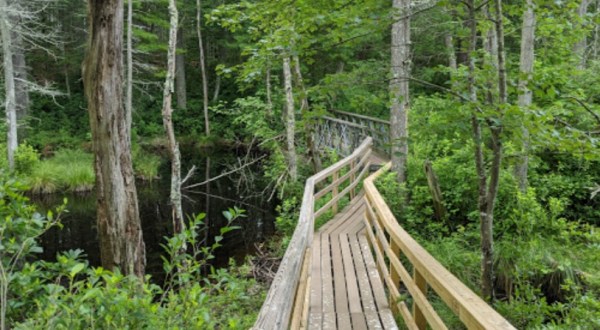 Take A Journey Through This One-Of-A-Kind Bridge Park In Rhode Island