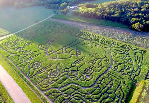 The Treinen Farm Corn Maze In Wisconsin Is A Classic Fall Tradition