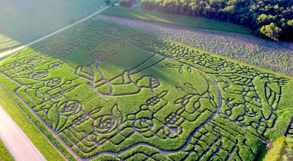 The Treinen Farm Corn Maze In Wisconsin Is A Classic Fall Tradition