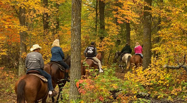 This Quaint Horseback Ride Through Minnesota’s Pillsbury State Forest Is A Magnificent Way To Take It All In
