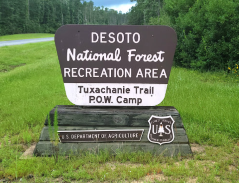 The Gorgeous 11.9-Mile Hike In Mississippi's Desoto National Forest That Will Lead You Past An Abandoned Railroad And Old POW Camp
