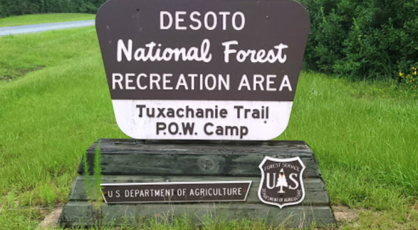 The Gorgeous 11.9-Mile Hike In Mississippi’s Desoto National Forest That Will Lead You Past An Abandoned Railroad And Old POW Camp