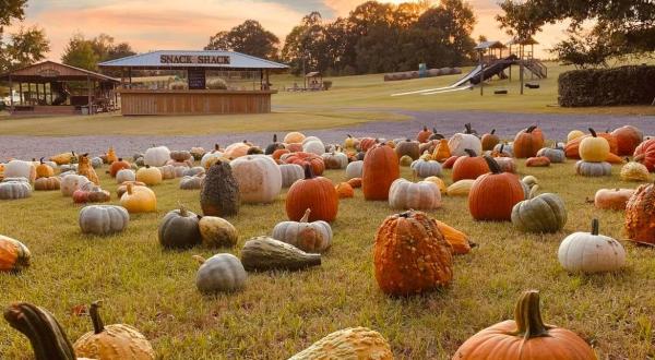 The Mississippi Pumpkin Patch Where You Can Also Take A Hay Ride
