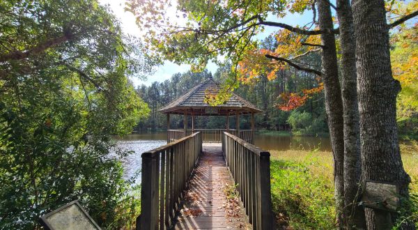 There’s A Little-Known Nature Preserve Just Waiting For Louisiana Explorers