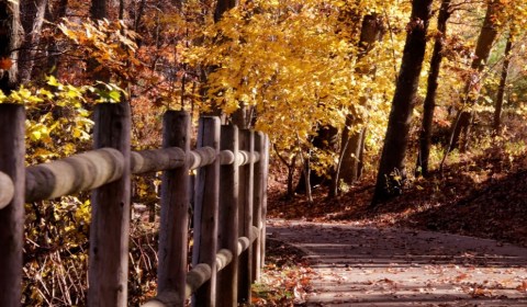 This Rhode Island Bike Ride Leads To The Most Stunning Fall Foliage You've Ever Seen