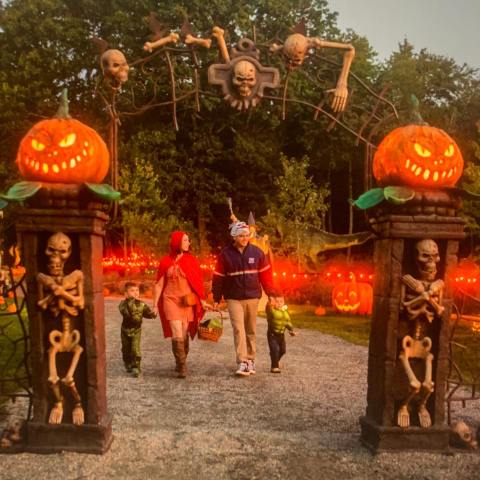 The Dinosaur Place Has A Glowing Pumpkin Trail And Fall Celebration Coming To Connecticut And It'll Make Your Season Magical