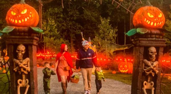 The Dinosaur Place Has A Glowing Pumpkin Trail And Fall Celebration Coming To Connecticut And It’ll Make Your Season Magical