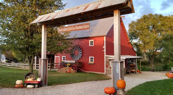 The Bloom Where You’re Planted Pumpkin Patch Festival In Nebraska Is A Classic Fall Tradition