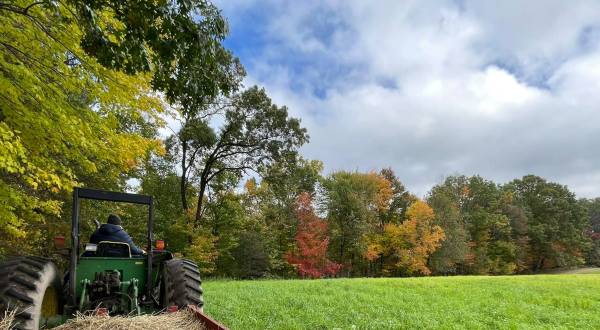 The Michigan Pumpkin Patch And Farm Where You Can Also Take A Hayride