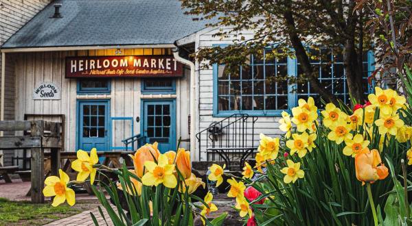 Dine On Tasty Food And Pick Up Heirloom Seeds At This Awesome Spot In Connecticut