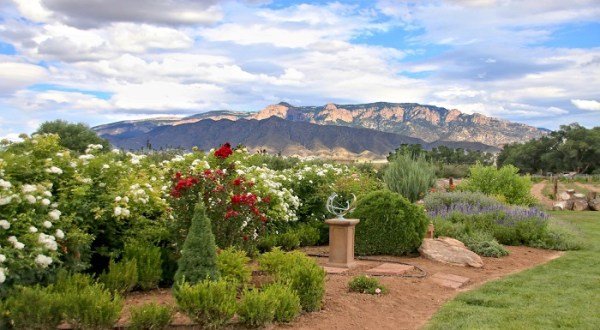 The Little France Of New Mexico Is Hiding 4 Excellent Wineries In One Tiny Town