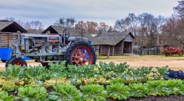 A True Hidden Gem, The Agricultural And Forestry Museum Is Perfect For Mississippi Nature Lovers