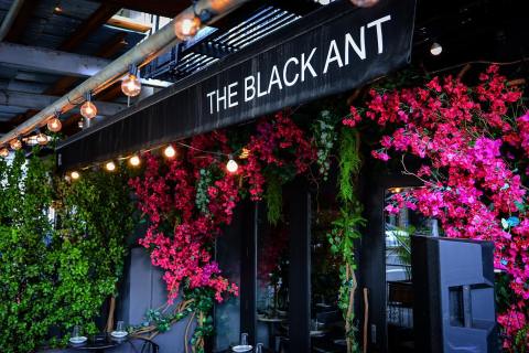 The Black Ant Just Might Have The Wackiest Menu In All Of New York But It's Amazing