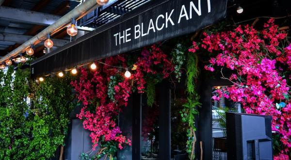 The Black Ant Just Might Have The Wackiest Menu In All Of New York But It’s Amazing