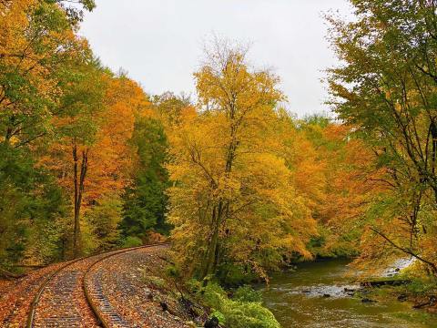 This Connecticut Train Ride Leads To The Most Stunning Fall Foliage You've Ever Seen
