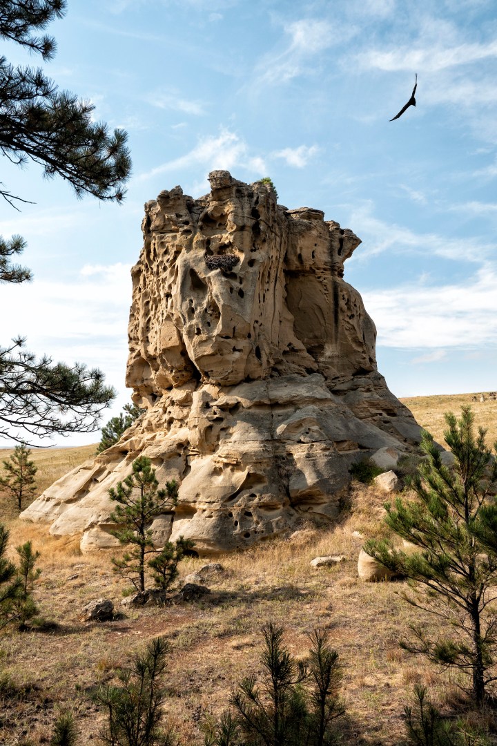 A tall rock formation at Medicine Rocks State Park in Montana. An eagle is circling the formation.