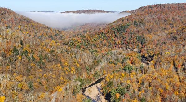 7 Overlooks In Pennsylvania That Burst With Fall Color Every Year