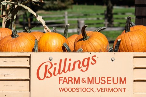 If There's One Fall Festival You Attend In Vermont Make It The Billings Farm Harvest Celebration