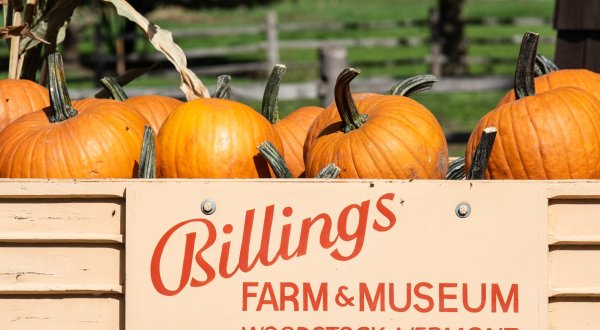 If There’s One Fall Festival You Attend In Vermont Make It The Billings Farm Harvest Celebration