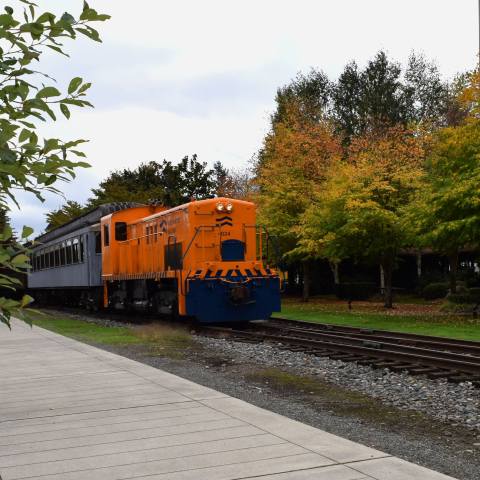 This Washington Train Ride Leads To The Most Stunning Fall Foliage You've Ever Seen