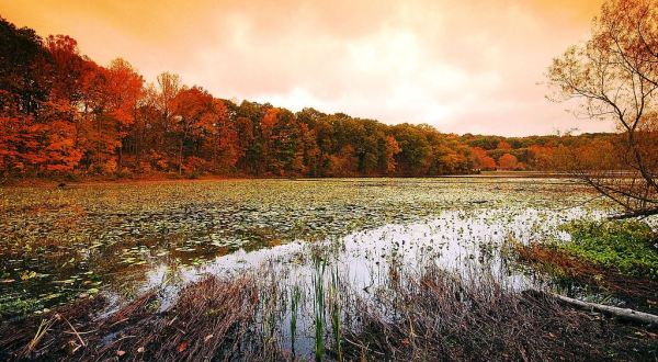 This Underrated Ohio State Park Might Be The Best Spot For Fall Leaf Peeping In The Buckeye State