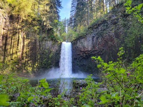 Take A Magical Waterfall Hike In Oregon To Abiqua Falls, If You Can Find It
