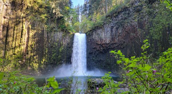 Take A Magical Waterfall Hike In Oregon To Abiqua Falls, If You Can Find It