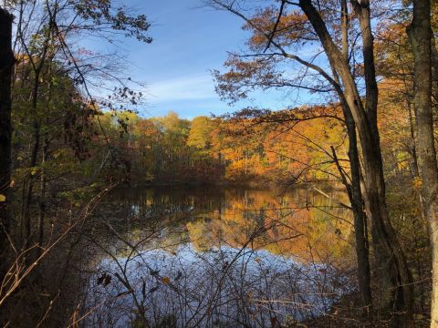 The Awesome Hike That Will Take You To The Most Spectacular Fall Foliage In Wisconsin