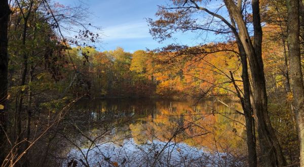 The Awesome Hike That Will Take You To The Most Spectacular Fall Foliage In Wisconsin