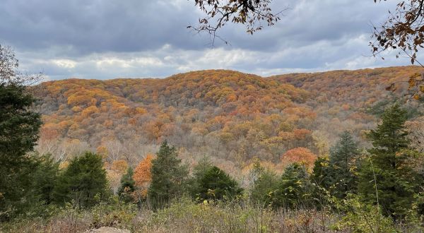 7 Overlooks In Missouri That Burst With Fall Color Every Year