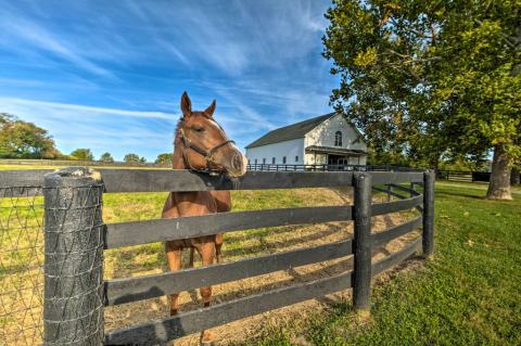 This Horse Farm VRBO In Kentucky Is One Of The Coolest Places To Spend The Night
