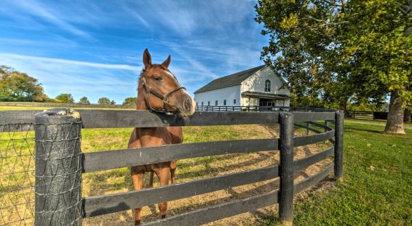 This Horse Farm VRBO In Kentucky Is One Of The Coolest Places To Spend The Night
