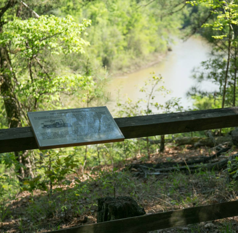 Climb A Bluff And Ogle An Old River Channel On This Fairy Tale Trail In Mississippi