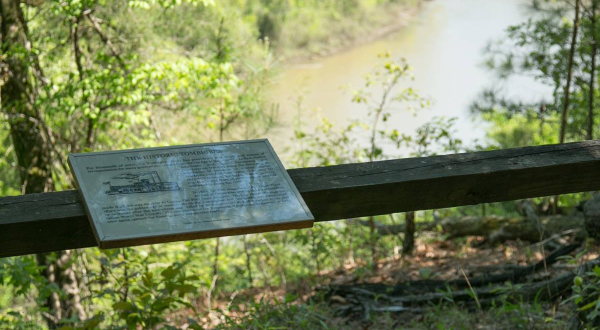 Climb A Bluff And Ogle An Old River Channel On This Fairy Tale Trail In Mississippi