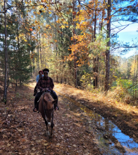 Take A Fall Foliage Trail Ride On Horseback At S.O.D. Trail Rides In Mississippi