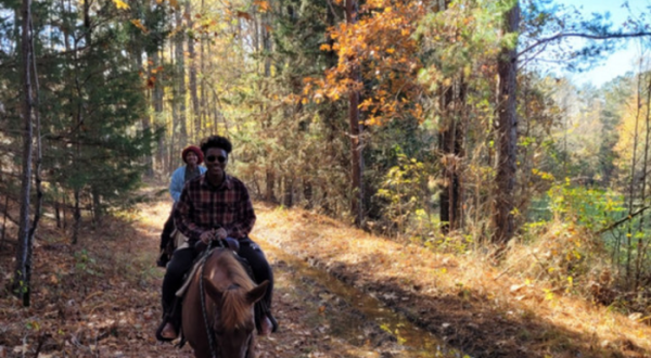 Take A Fall Foliage Trail Ride On Horseback At S.O.D. Trail Rides In Mississippi