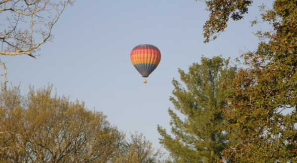 Take A Scenic Hot Air Balloon Ride Over The Forests And Inland Lakes Of Tennessee