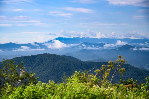 Tennessee's Beauty Spot Is One Of The Best Summits for Viewing Two Different States