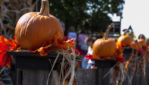 Don’t Miss The Most Magical Halloween Event In All Of Iowa, Amana Pumpkinfest