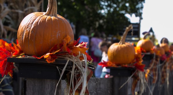 Don’t Miss The Most Magical Halloween Event In All Of Iowa, Amana Pumpkinfest