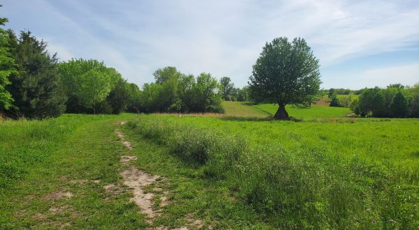 There’s A Kansas Trail In A Nature Preserve That The Entire Family Will Love